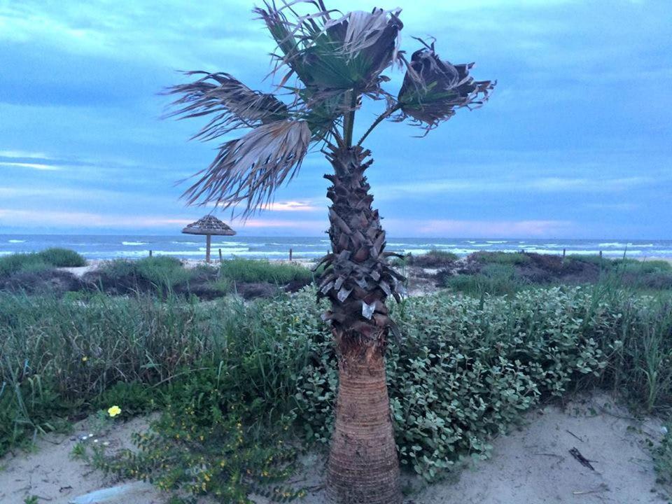 Unobstructed Oceanfront Sea Turtle Unit 2 Beach Pad! Surfside Beach Exterior foto